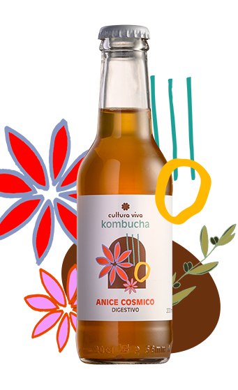 Anice Cosmico Cultura Viva Kombucha