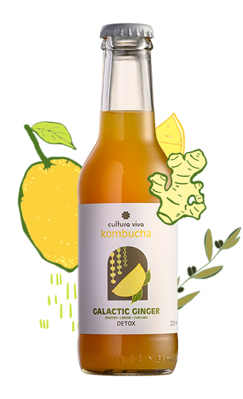 Galactic Ginger Cultura Viva Kombucha