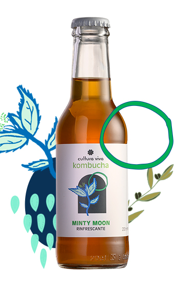 Minty Moon Cultura Viva Kombucha