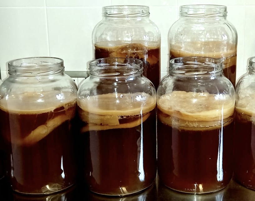Cultura Viva Kombucha