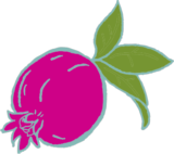 Kombucha Cultura Viva