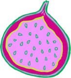 Kombucha Cultura Viva