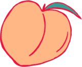 Kombucha Cultura Viva