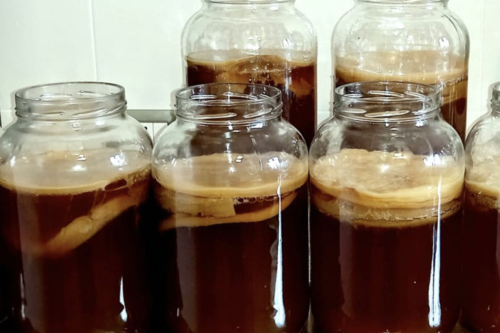 Prima edizione del “kombucha 101” con la cultura viva kombucha school.