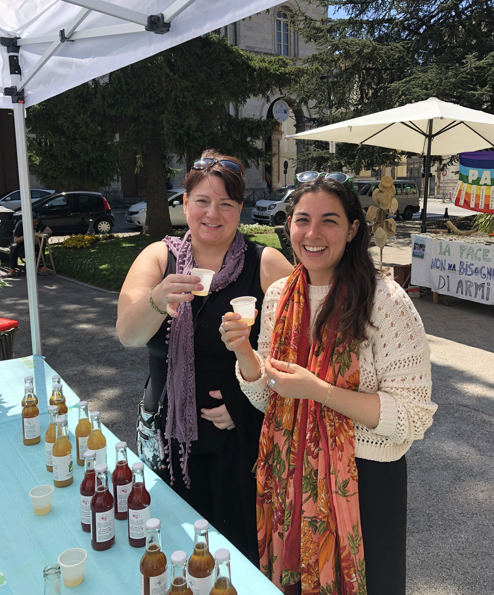 dove trovi Cultura Viva Kombucha